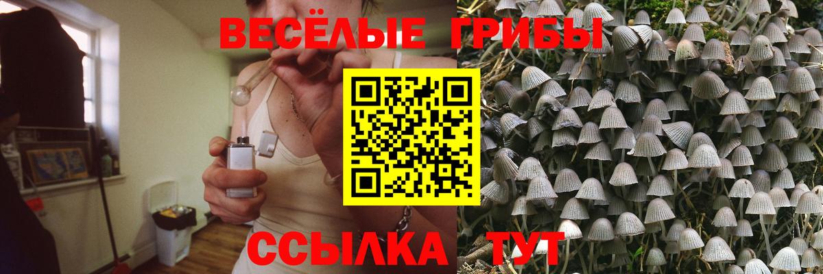 где найти наркотики  Галлюциногенные грибы ЛСД  Вход с VPN  Бузулук 